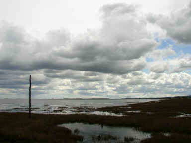 Mud Flats.JPG (48859 bytes)