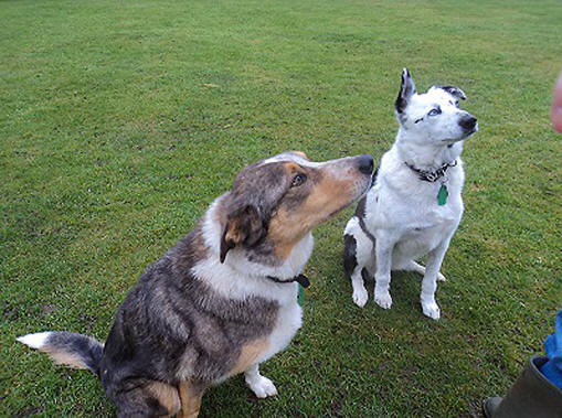 Tamzin and Maisey