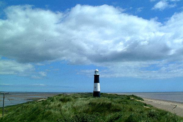 Spurn